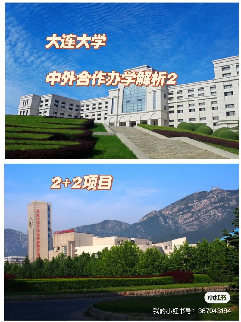 大学外事处怎么样