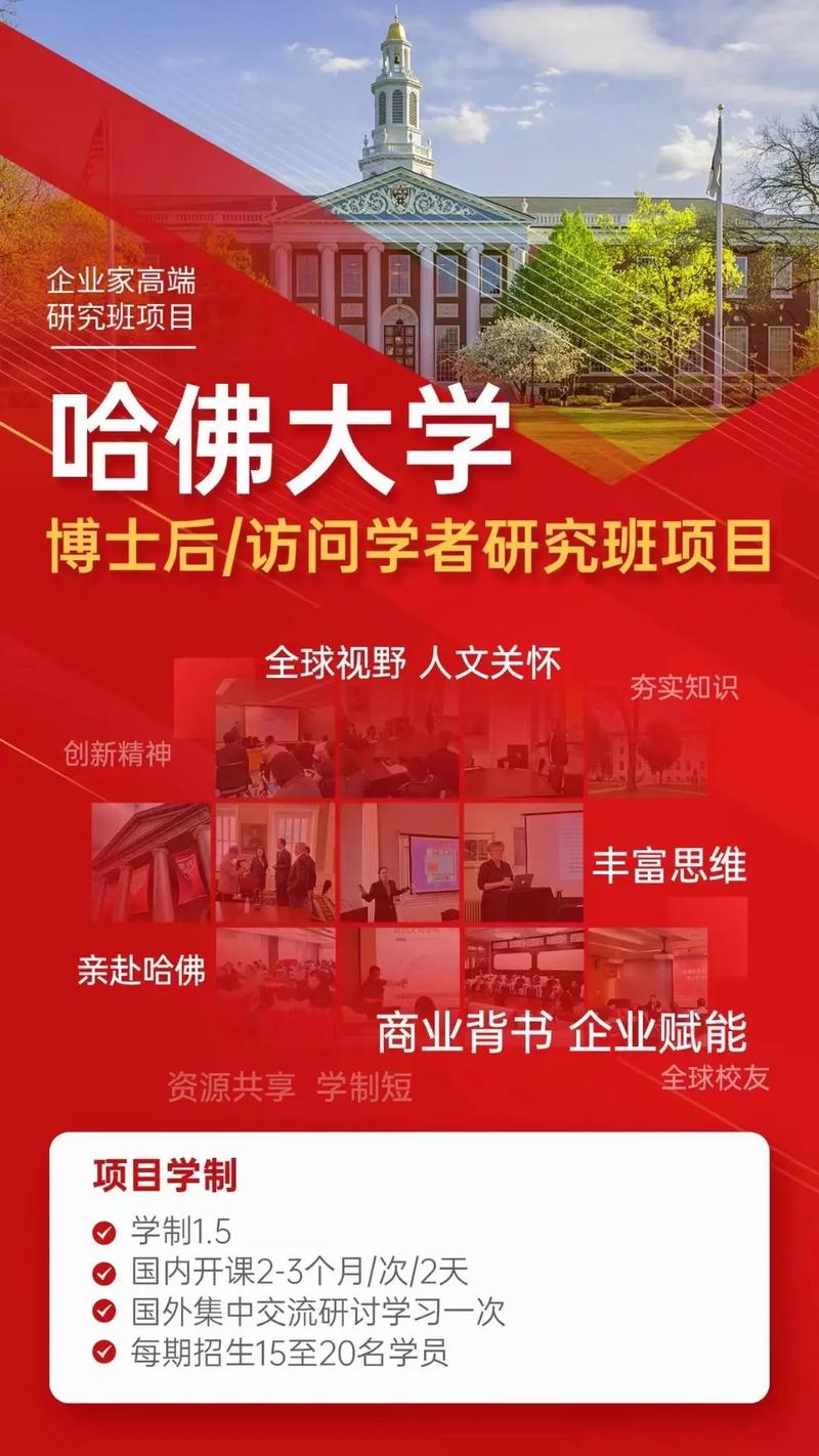 大学博士后是什么