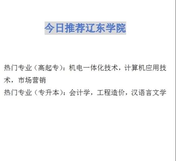 辽东学院会计怎么样