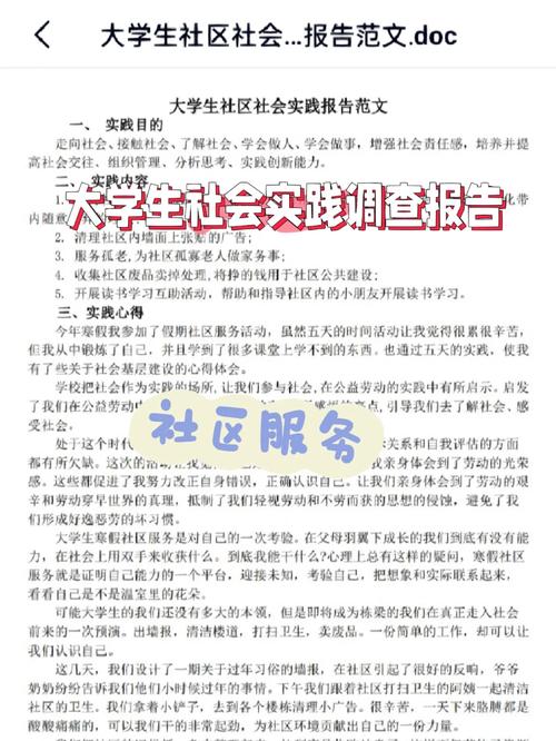 社会调查类型是什么