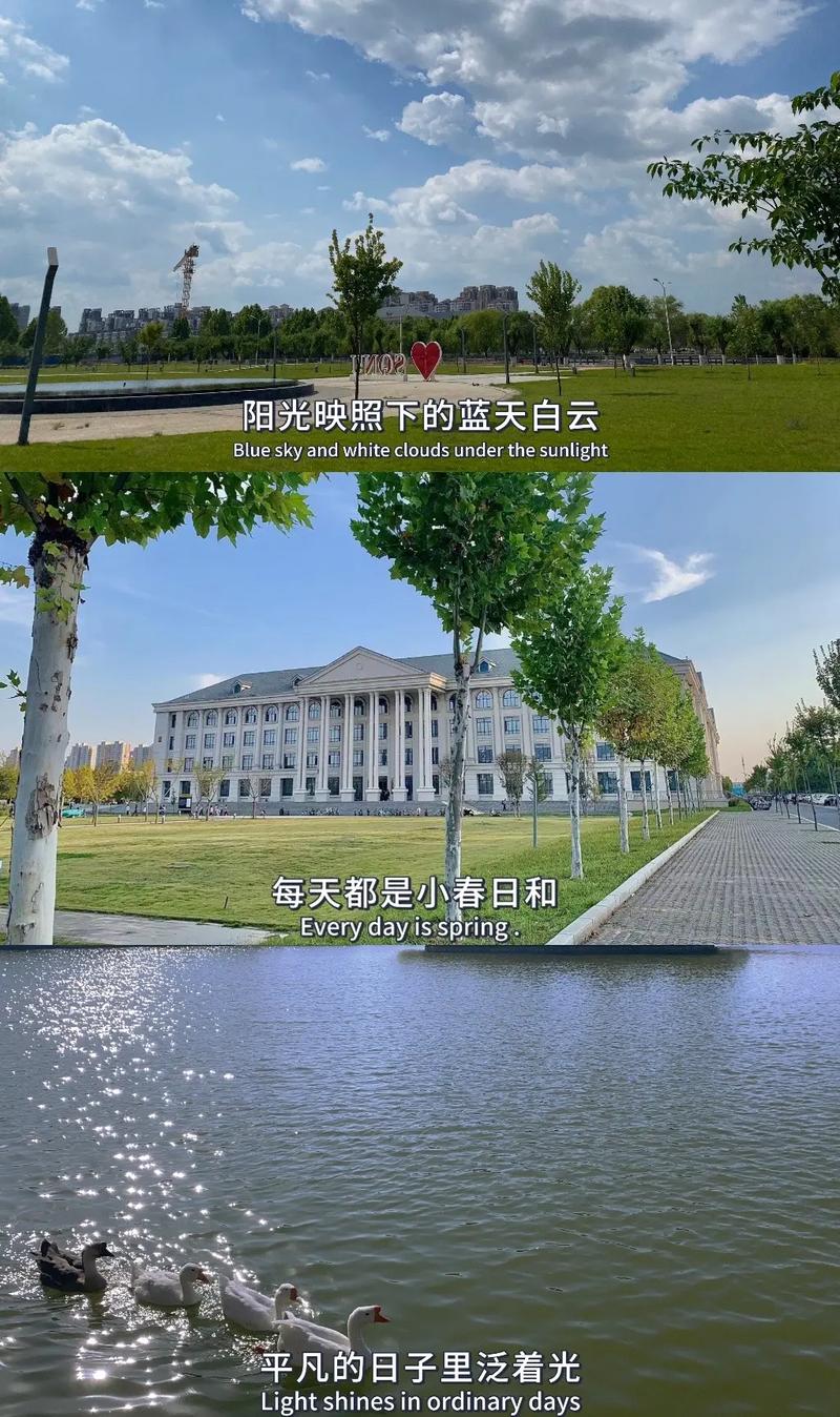 商乒有哪些大学