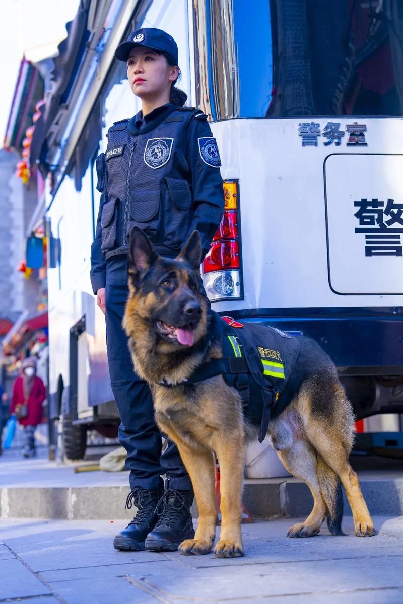 警官在哪里