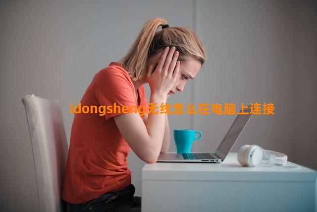 idongsheng无线怎么在电脑上连接