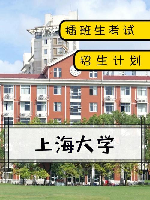 上海大学育成计划怎么样