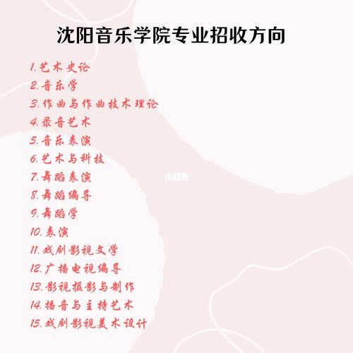 沈阳音乐学院分什么专业