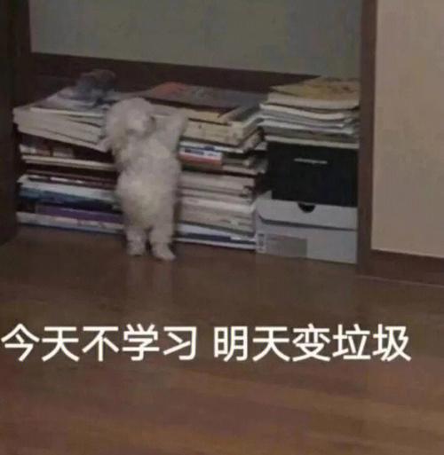 不在了怎么学