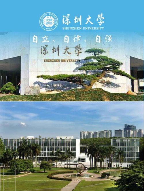 深圳大学专科在哪里