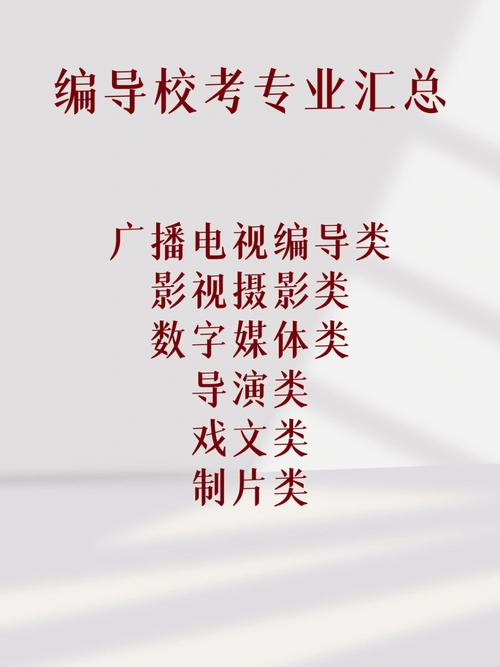 编导行业怎么样