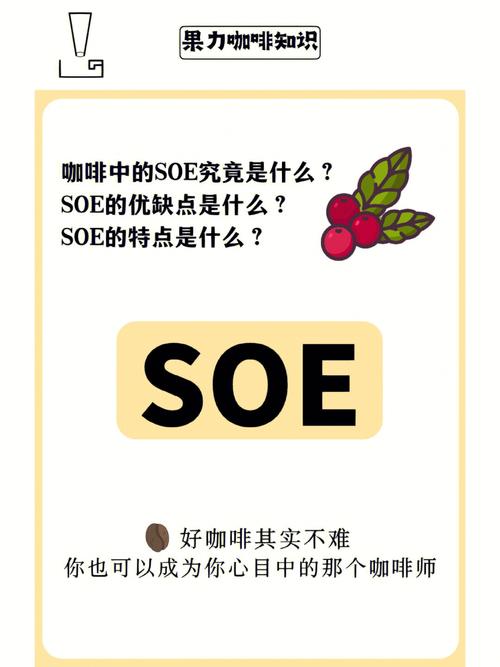 SOE是一个什么组织