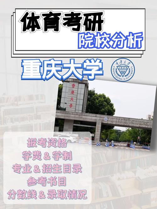 重庆大学体育怎么选课