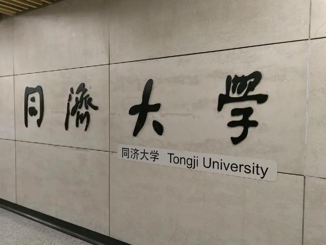 同济大学在哪里了