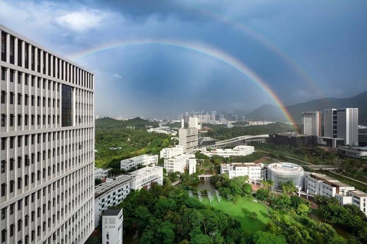 深圳引进哪些大学