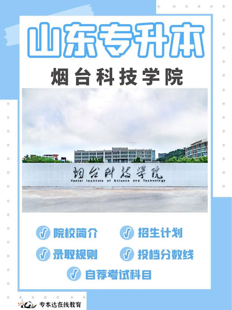 烟台的大学都在哪里