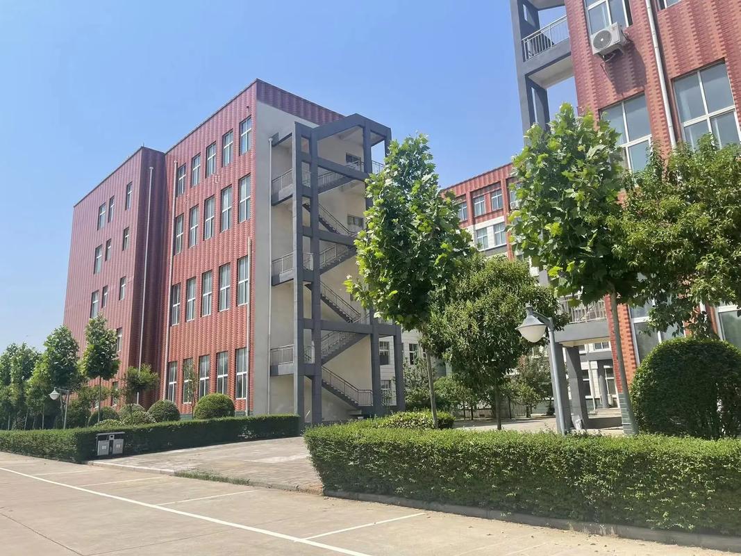 洛阳本科学校在哪里