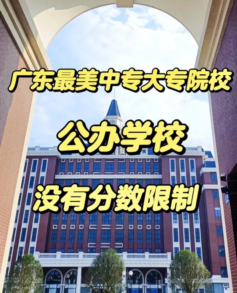 目前哪些大学里面还有专科