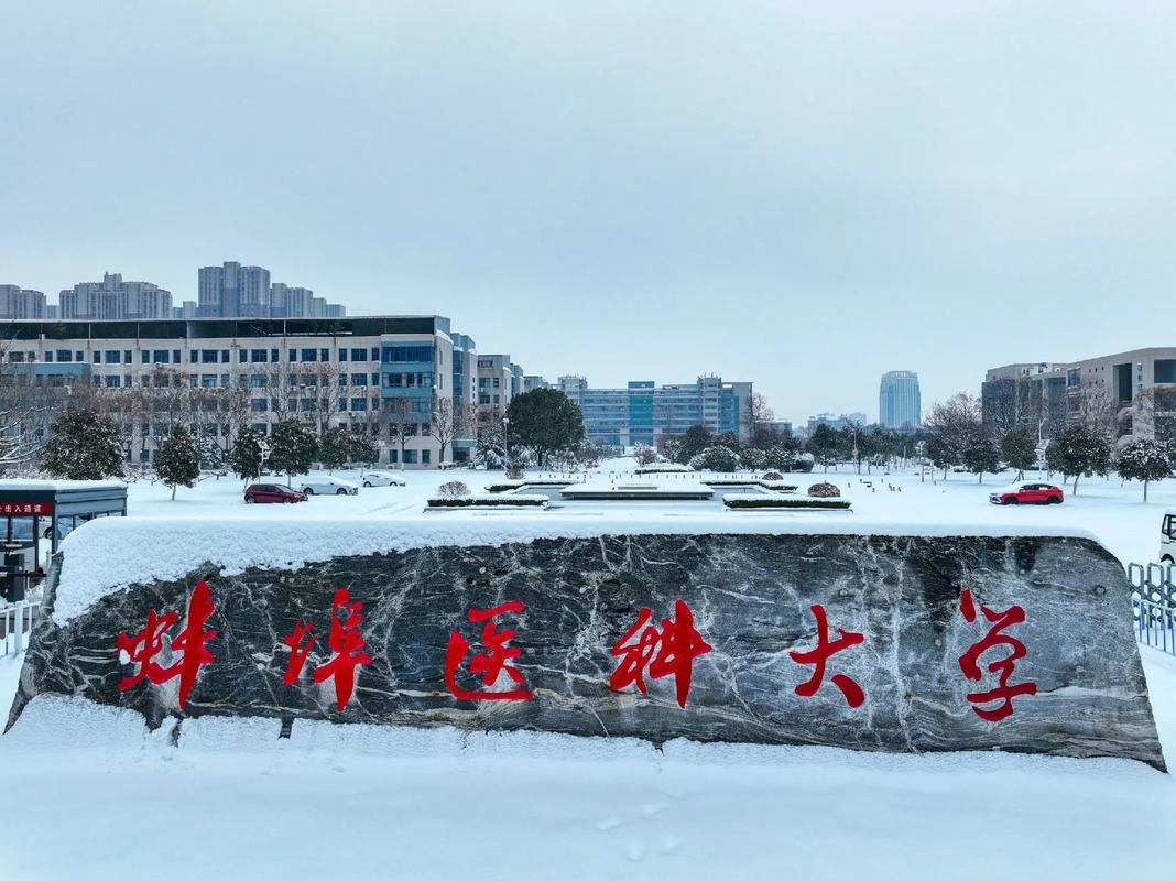 蚌埠的医学院有哪些