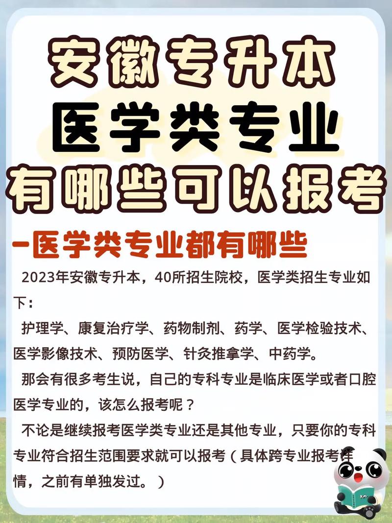 医专可以报考哪些专业