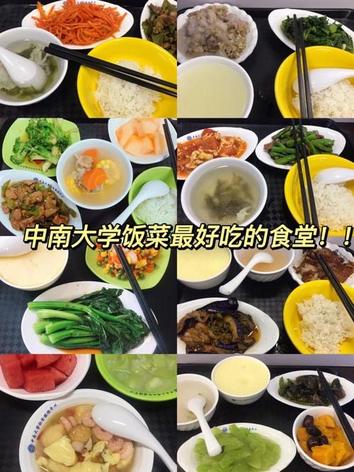 中南大学食堂怎么样