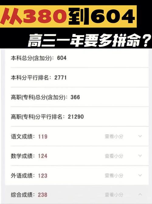 福建高考604分能上什么