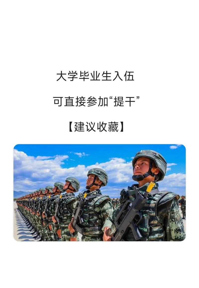 大学应届生怎么去当兵