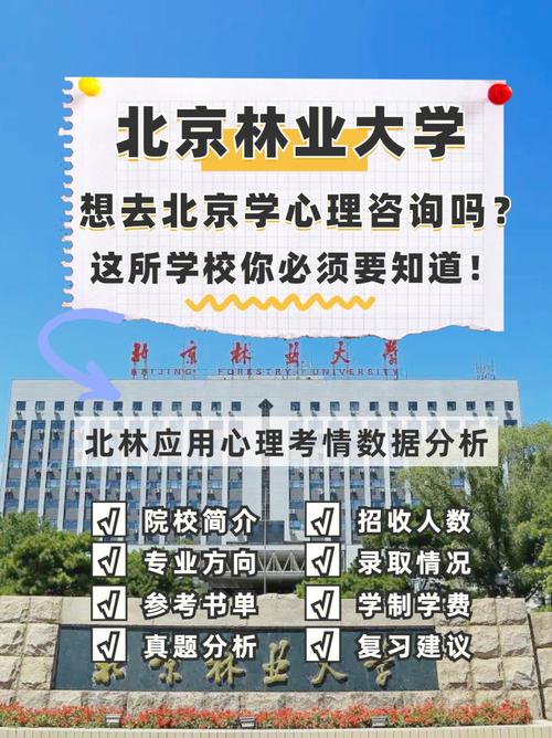 北京林大文科怎么样