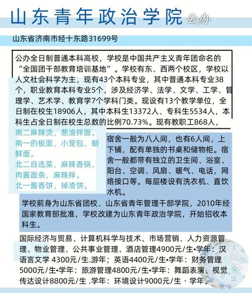 青年大学本科怎么报考