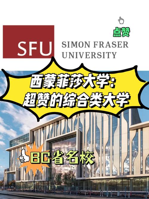 江苏有哪些大学接受bc