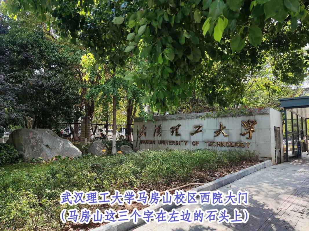 武汉理工大学地址在哪里