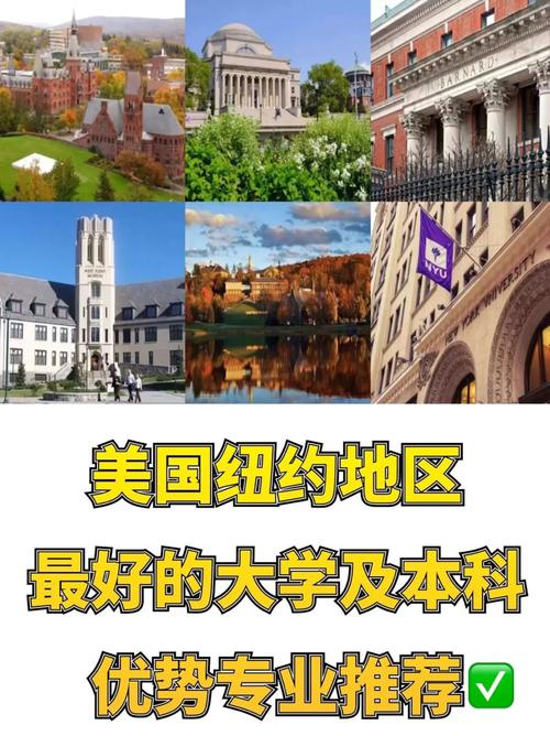 纽约大学哪些系好