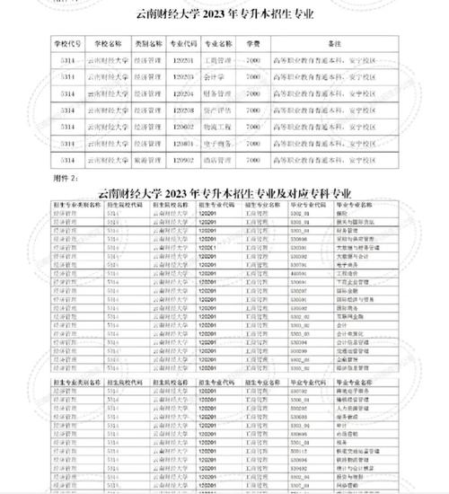 云南财经大学什么专业