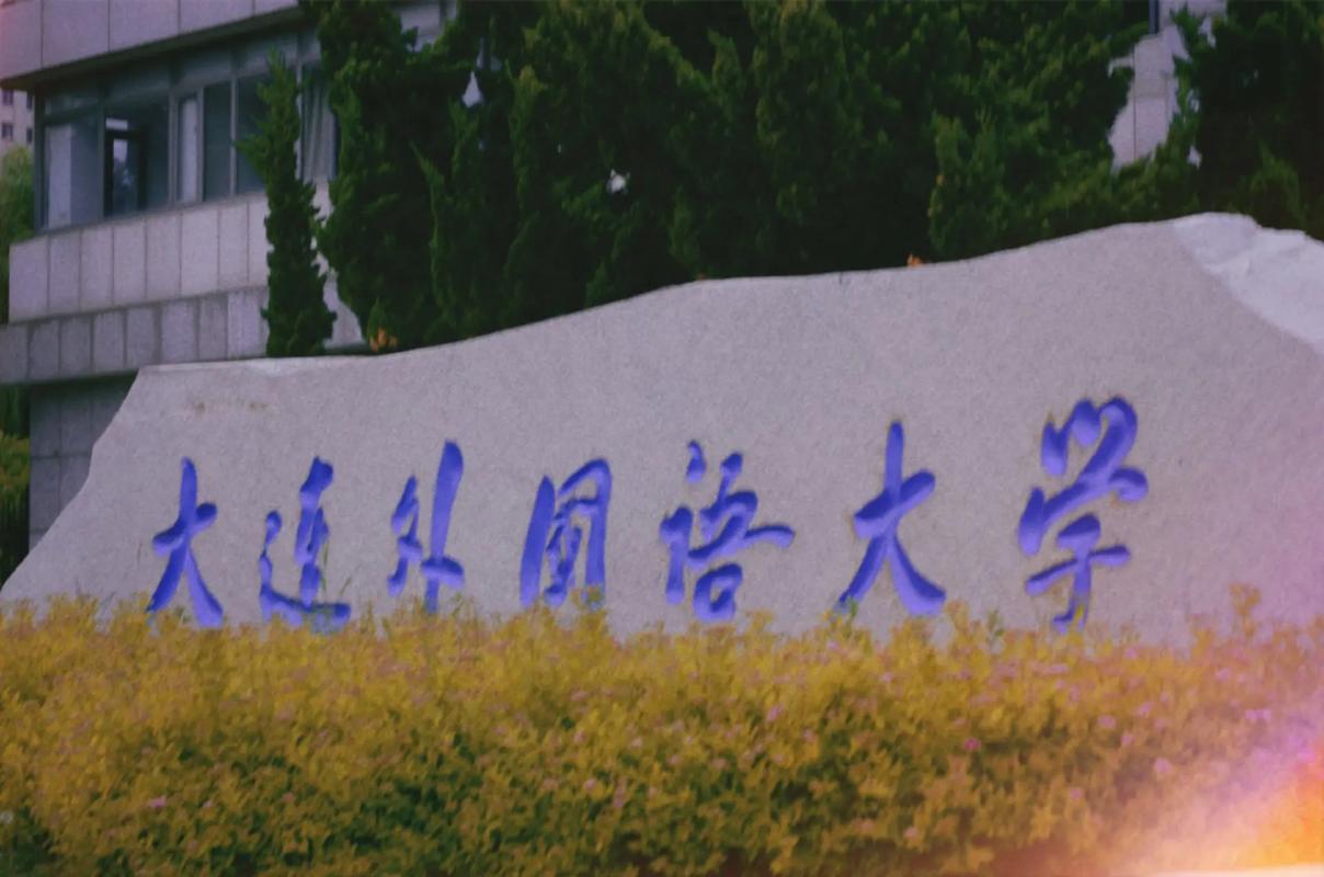 大连学学校有哪些