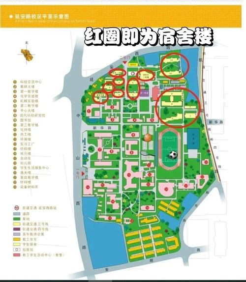 东华大学怎么分校区