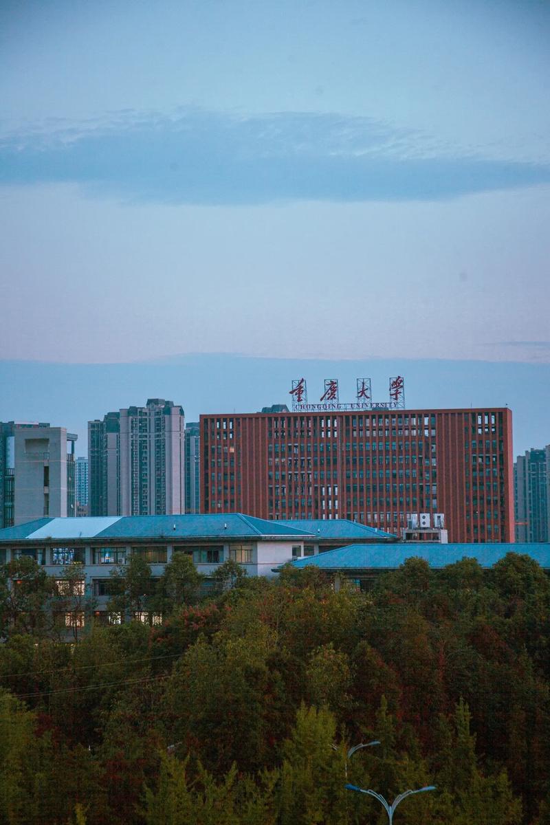 重庆大学是什么大学