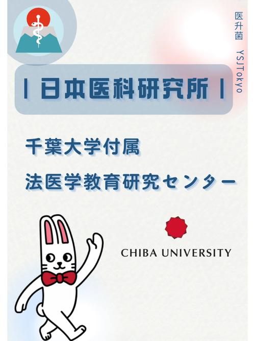 文科法医学有哪些大学