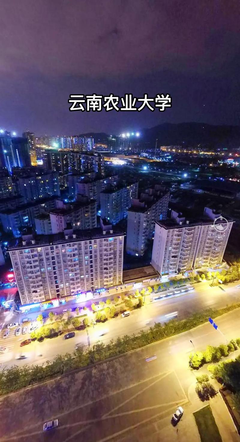 云南大学地址是什么