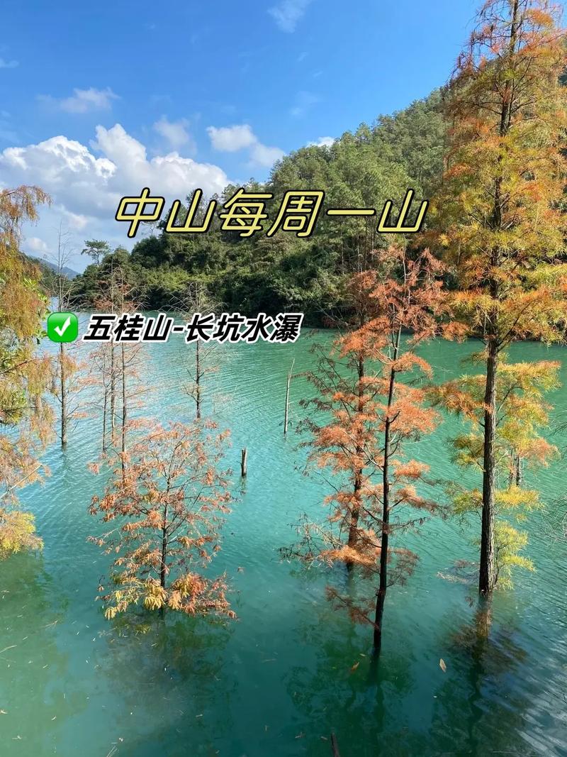 桂山筑梦在哪里