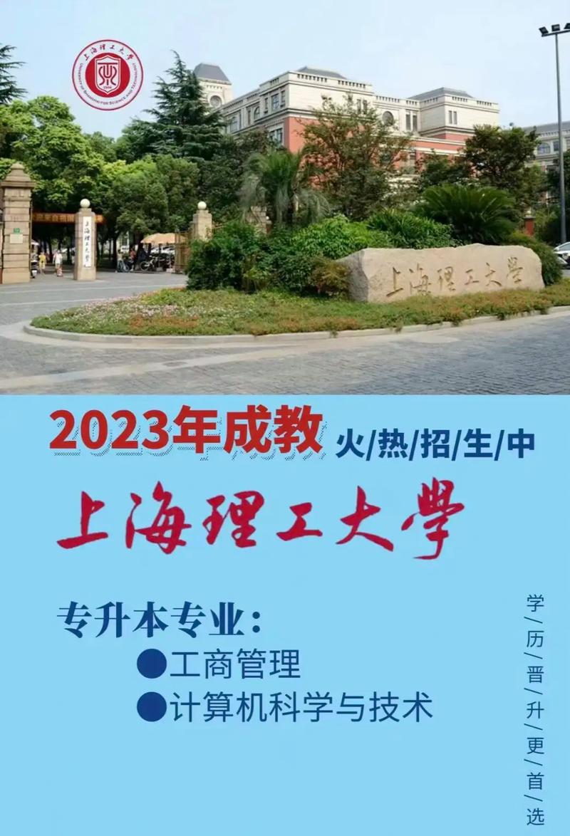 上海的大学怎么报名