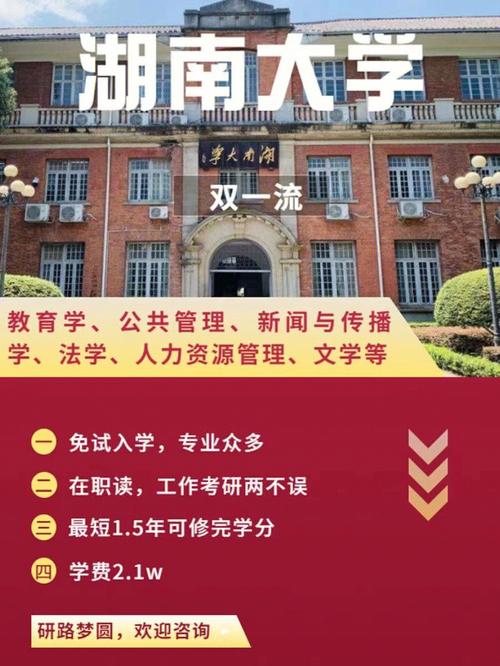 湖南大学可以学什么