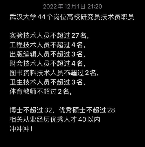 武汉大学技术岗怎么样