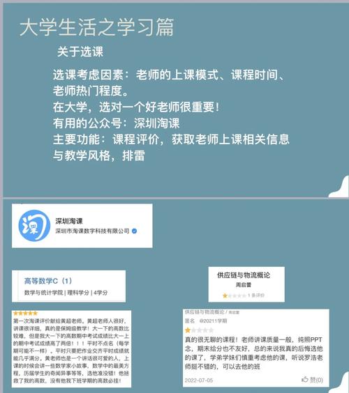 大学选修课怎么查