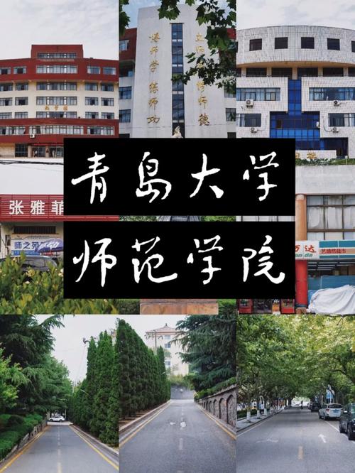 青岛大学包括哪些学院