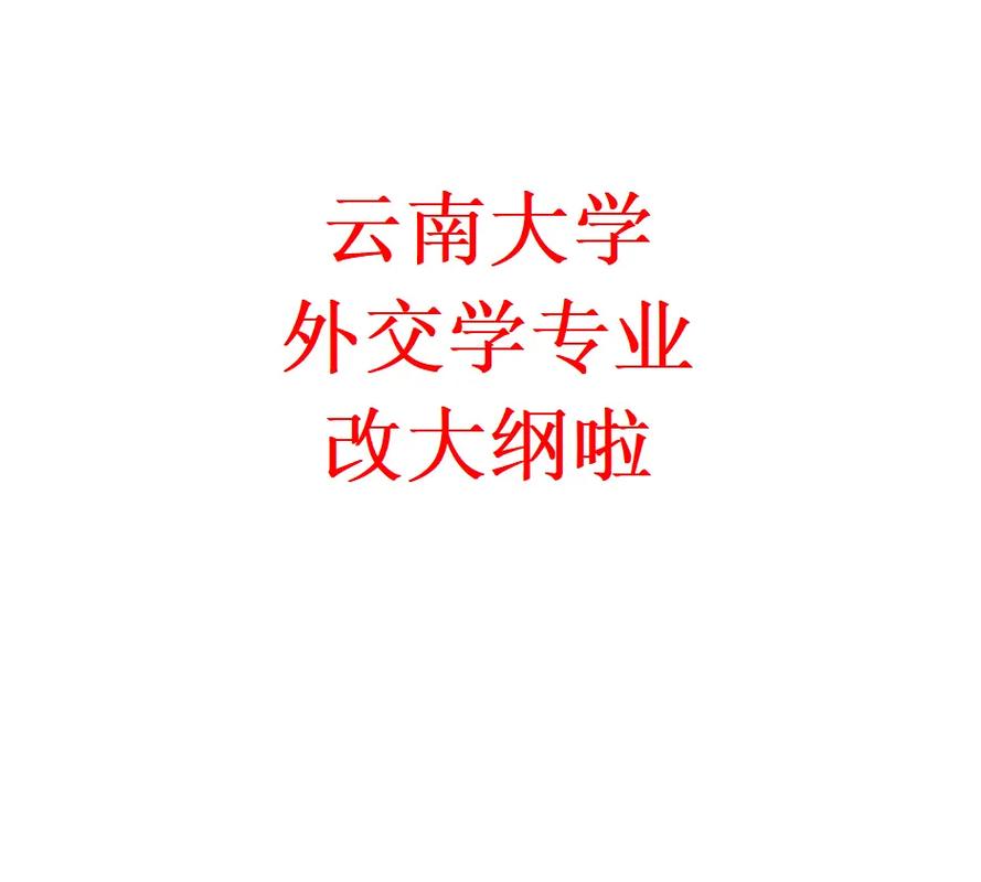 外交学有什么大学