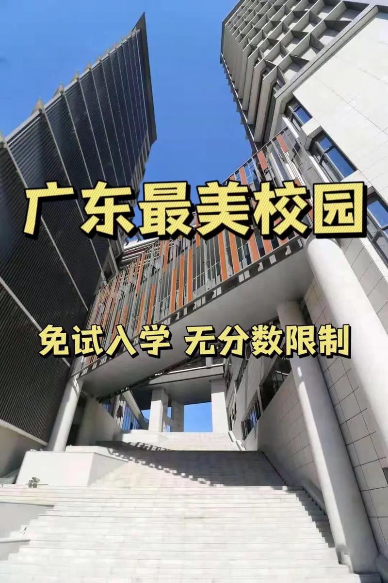 广州的省有哪些大学