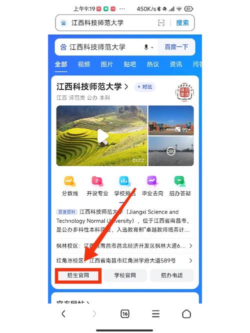 怎么在大学官网查专业