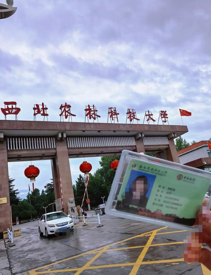 杨凌最好的大学是什么