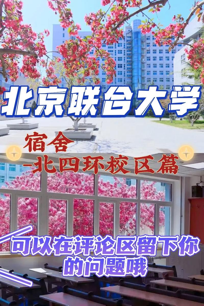 距离北京的大学有哪些