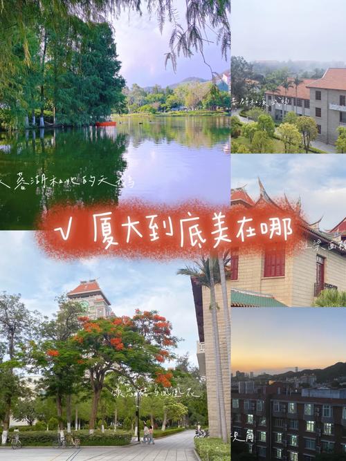 在大学在哪里