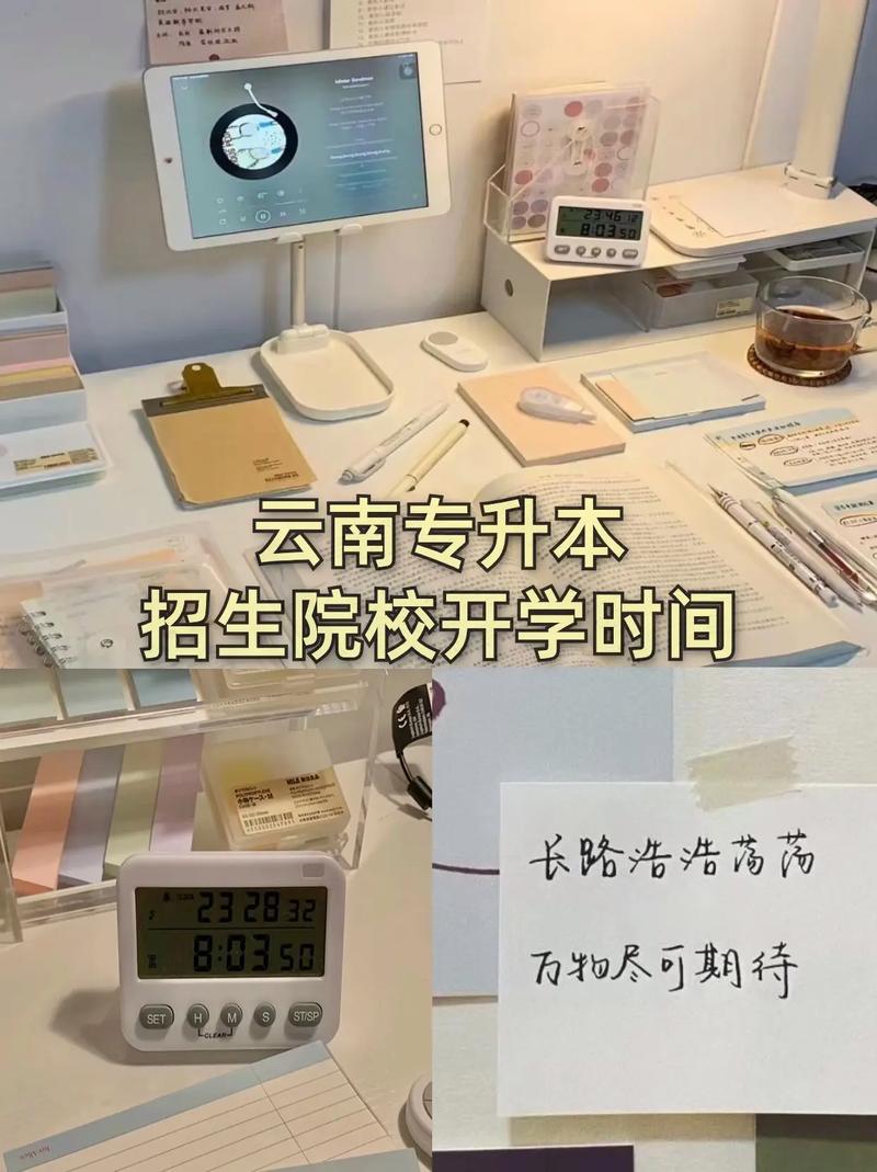 云南学校什么时候开学