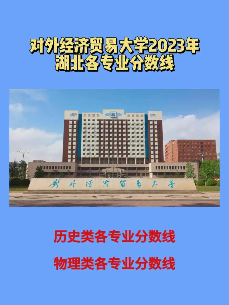 大学对外贸易是什么