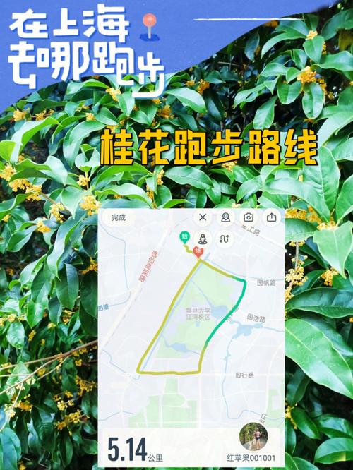 复旦大学哪里可以跑步